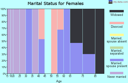 Zip code 48437 marital status for females