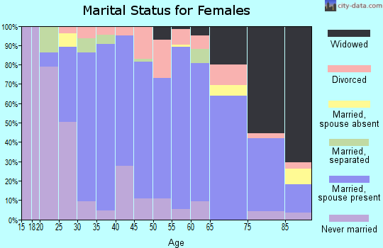 Zip code 48441 marital status for females