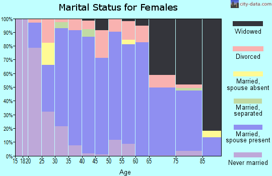 Zip code 48616 marital status for females