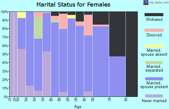 Zip code 48628 marital status for females