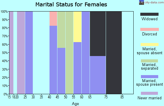 Zip code 48633 marital status for females