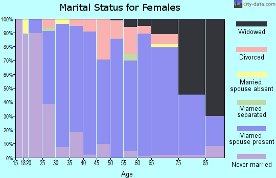 Zip code 48637 marital status for females