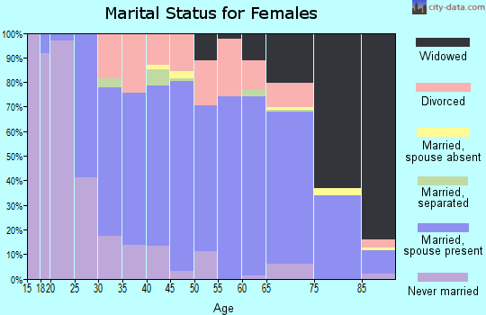 Zip code 48658 marital status for females