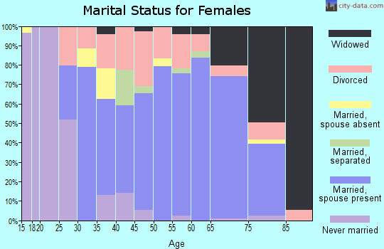 Zip code 48703 marital status for females