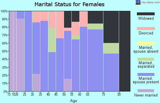 Zip code 48720 marital status for females