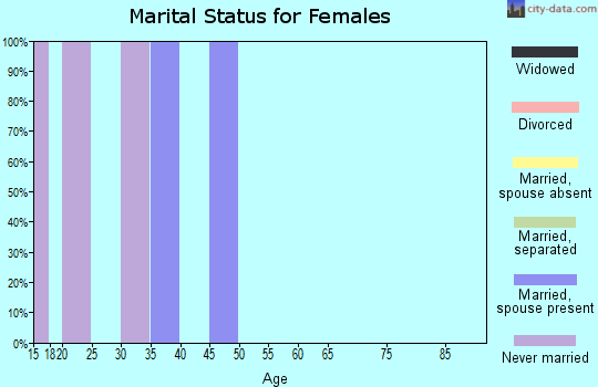 Zip code 48724 marital status for females