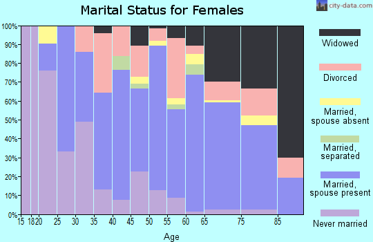 Zip code 48740 marital status for females