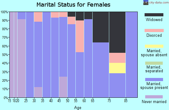 Zip code 48807 marital status for females