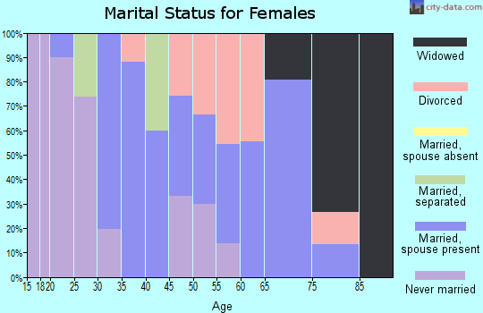 Zip code 48853 marital status for females