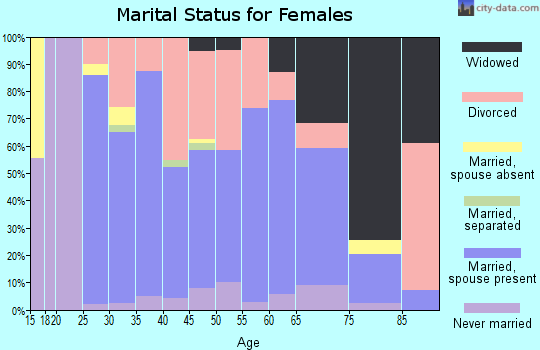 Zip code 49026 marital status for females
