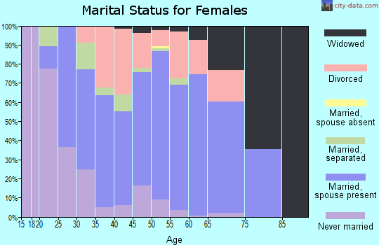 Zip code 49028 marital status for females