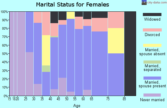 Zip code 49029 marital status for females