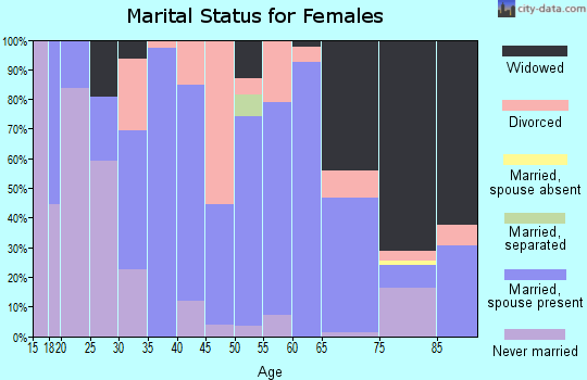 Zip code 49040 marital status for females