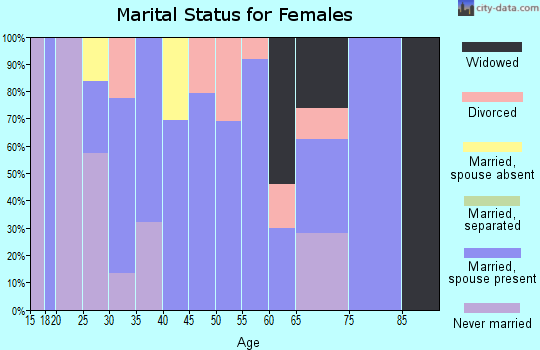 Zip code 49060 marital status for females