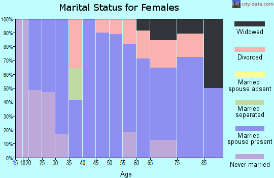 Zip code 49061 marital status for females