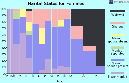 Zip code 49064 marital status for females