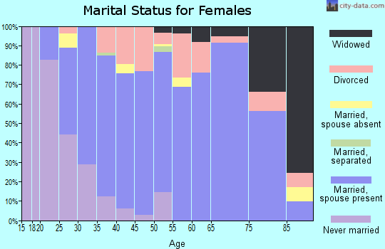 Zip code 49071 marital status for females