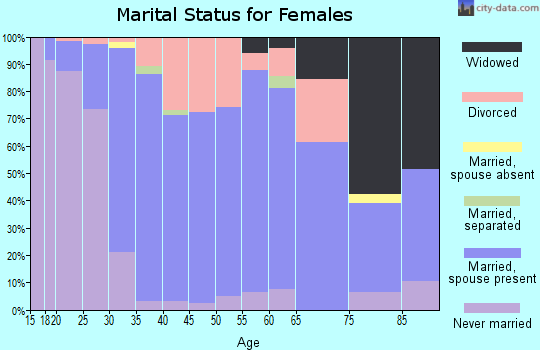 Zip code 49080 marital status for females
