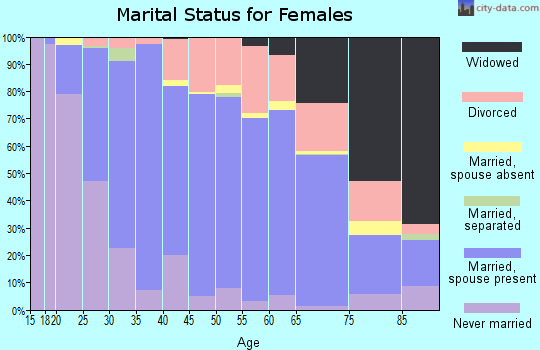 Zip code 49085 marital status for females