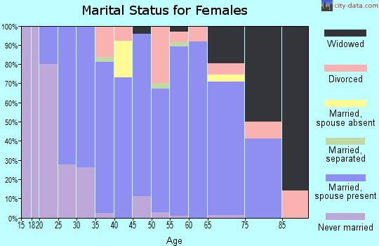 Zip code 49095 marital status for females