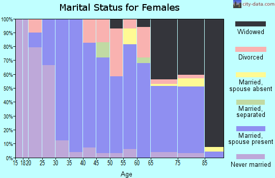 Zip code 49106 marital status for females