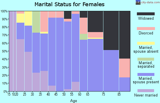 Zip code 49111 marital status for females