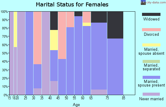 Zip code 49125 marital status for females