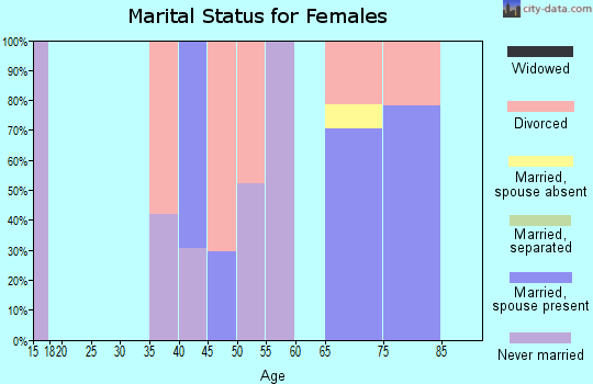 Zip code 49129 marital status for females
