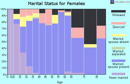 Zip code 49232 marital status for females