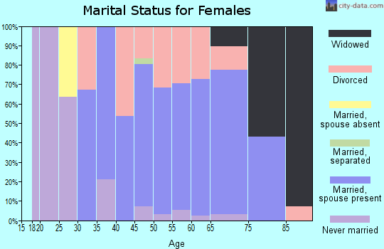 Zip code 49234 marital status for females