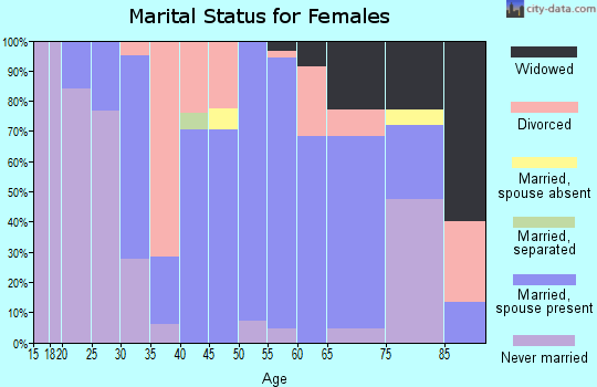 Zip code 49238 marital status for females