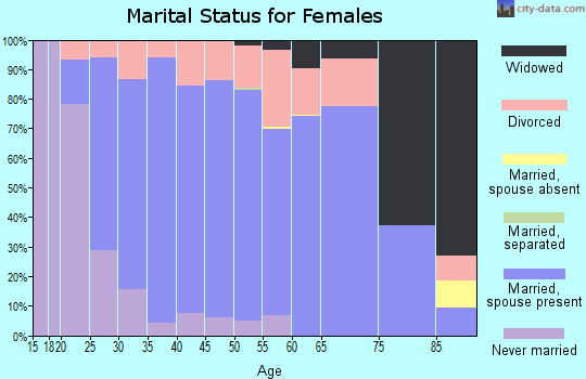 Zip code 49240 marital status for females