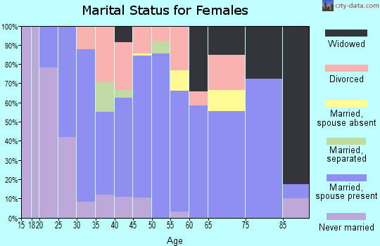 Zip code 49252 marital status for females