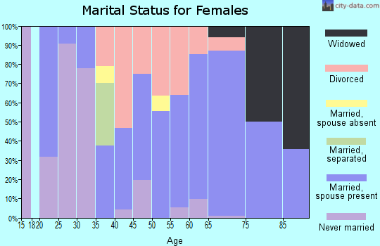 Zip code 49253 marital status for females