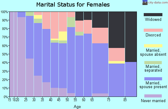Zip code 49256 marital status for females