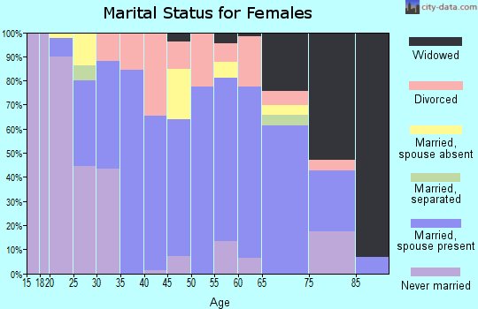 Zip code 49265 marital status for females