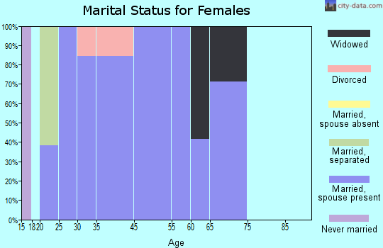 Zip code 49281 marital status for females