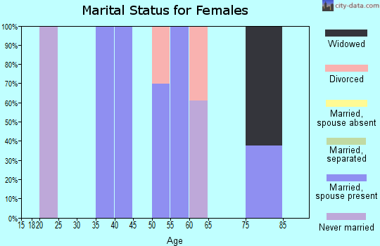 Zip code 49282 marital status for females