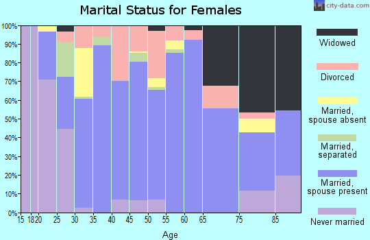 Zip code 49285 marital status for females