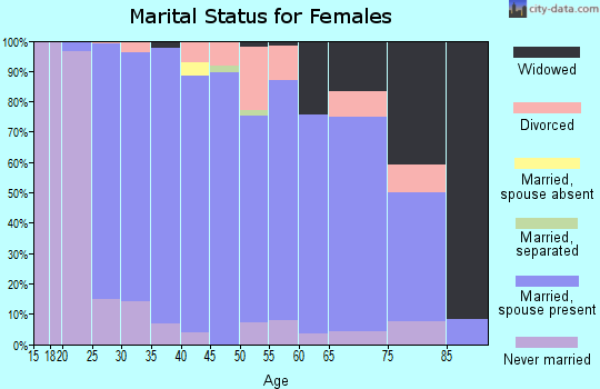 Zip code 49302 marital status for females