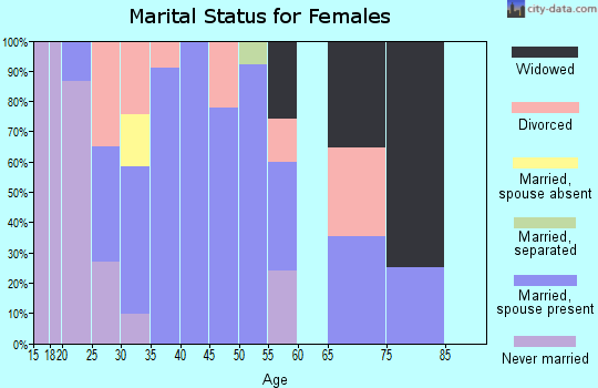 Zip code 49303 marital status for females