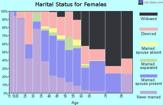 Zip code 49304 marital status for females
