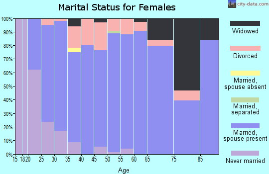 Zip code 49328 marital status for females