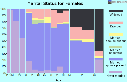 Zip code 49331 marital status for females