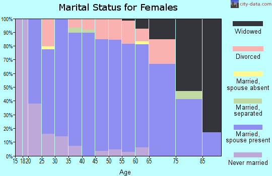 Zip code 49333 marital status for females