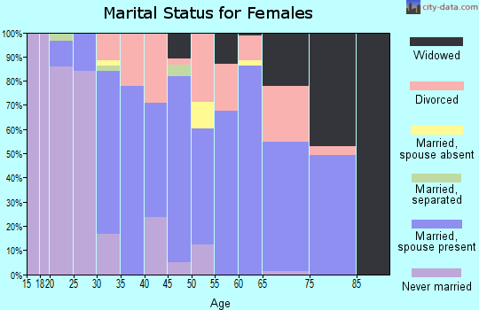 Zip code 49340 marital status for females