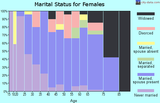 Zip code 49342 marital status for females