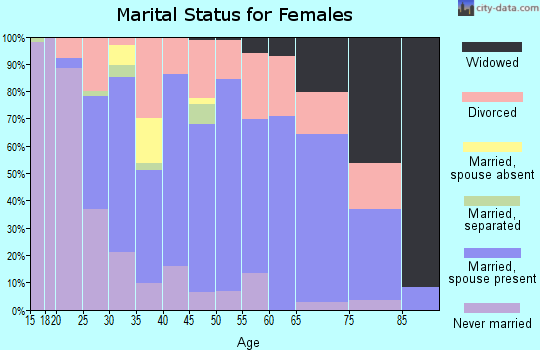 Zip code 49345 marital status for females