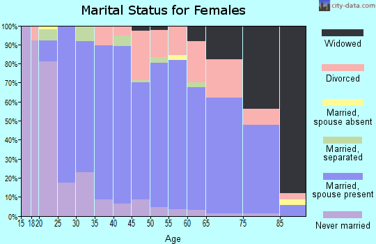 Zip code 49348 marital status for females