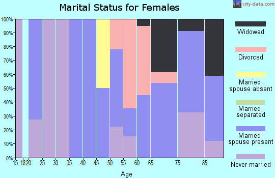 Zip code 49406 marital status for females